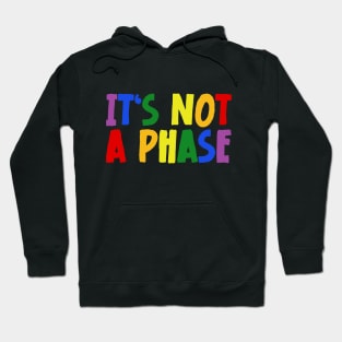 LGBTQIA+ Rainbow Flag Gay Pride Ally It's Not A Phase Hoodie